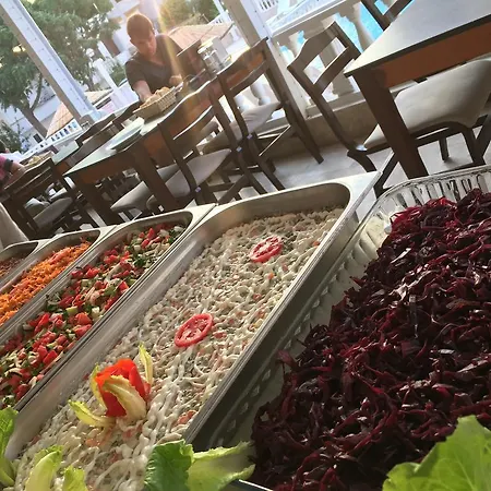 Otel Didyma Apollon Didim