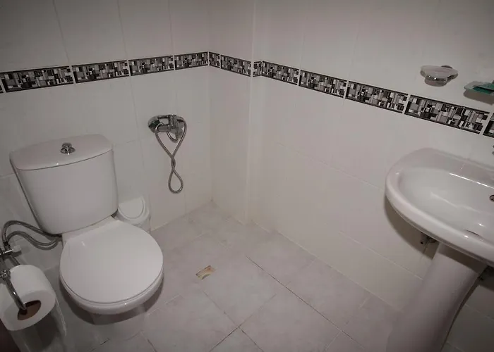 Hotel Didyma Apollon *